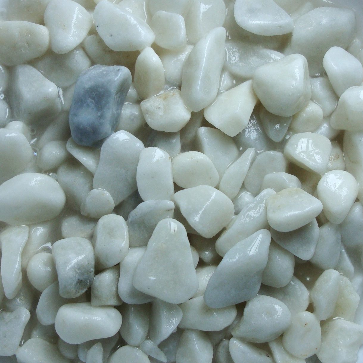 белый средний