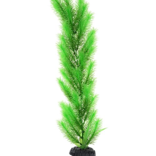 Растение для аквариума - перистолистник