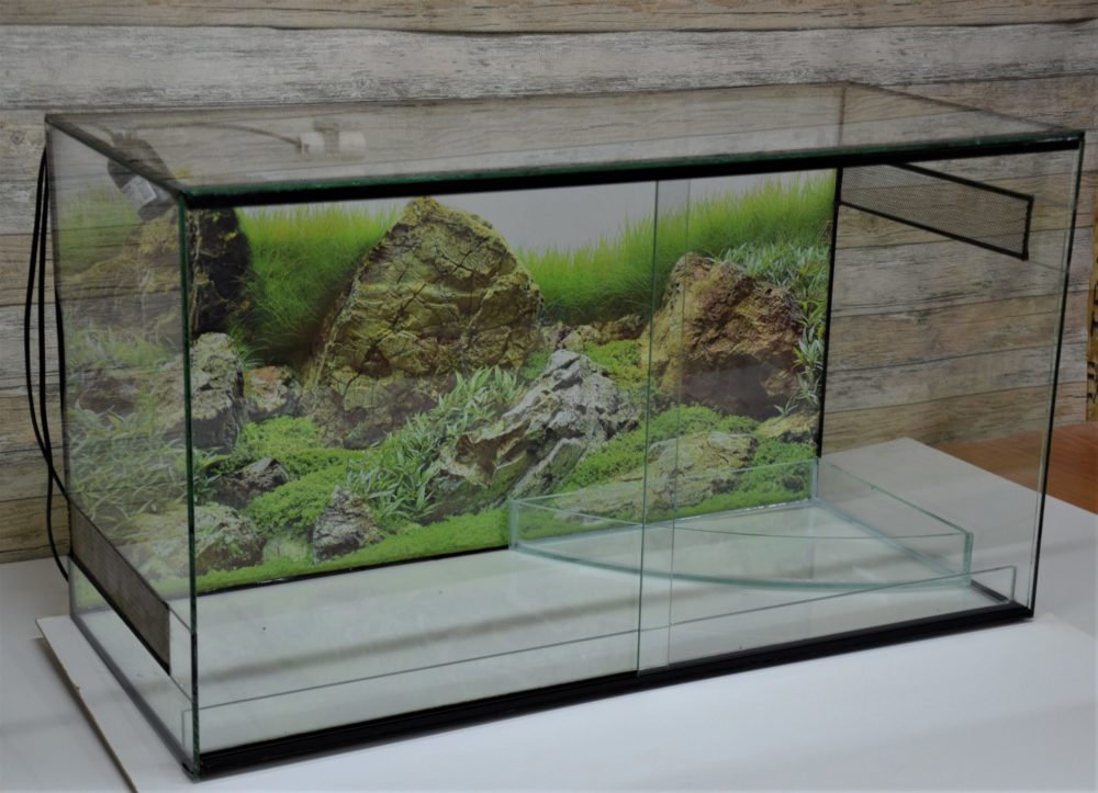 Террариум для рептилий Террариум для рептилий